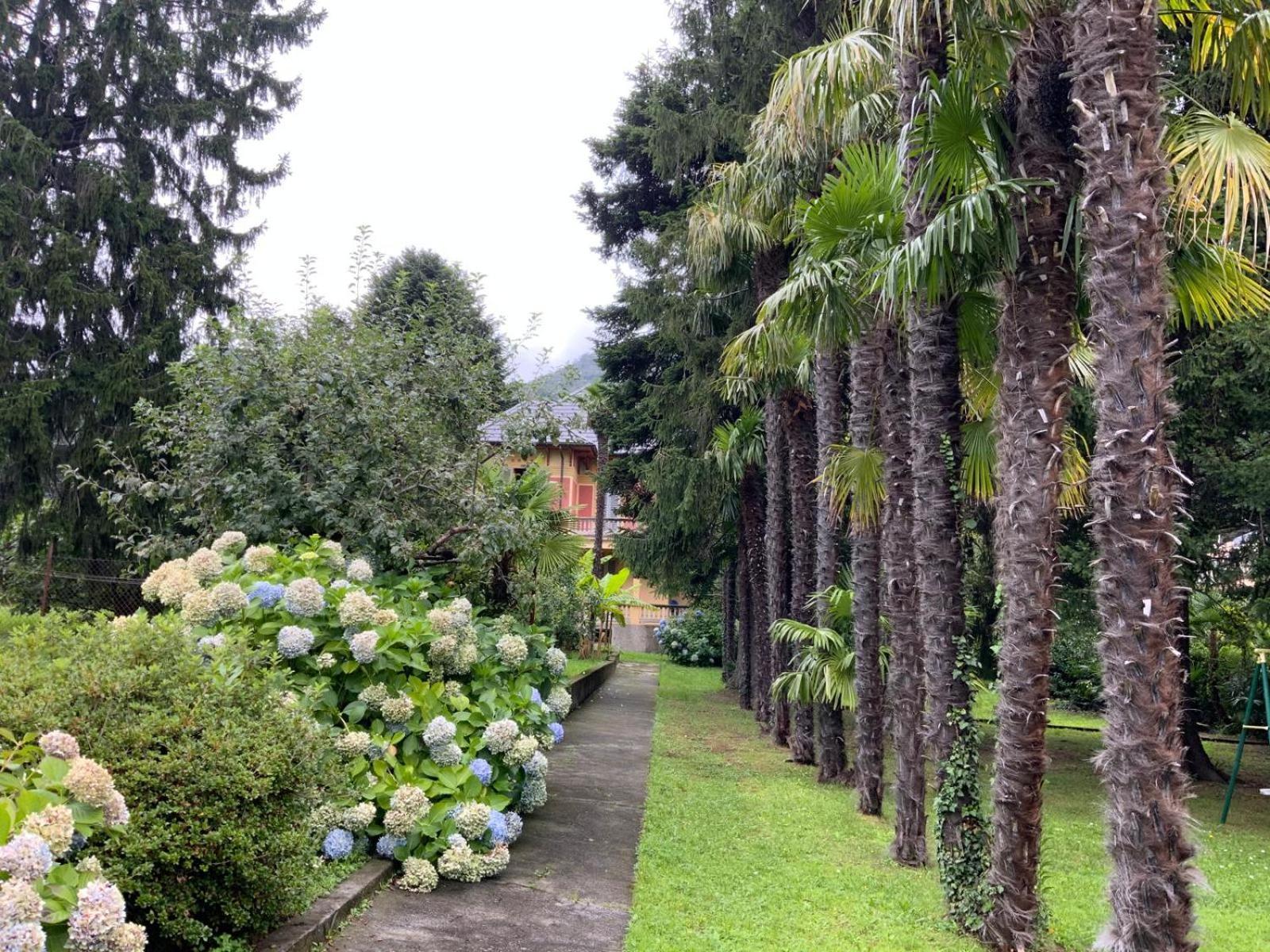 Villa Del Castanar Maccagno Eksteriør bilde
