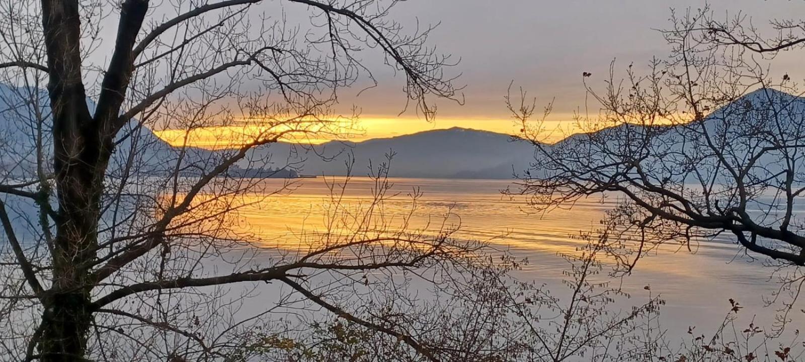 Villa Del Castanar Maccagno Eksteriør bilde