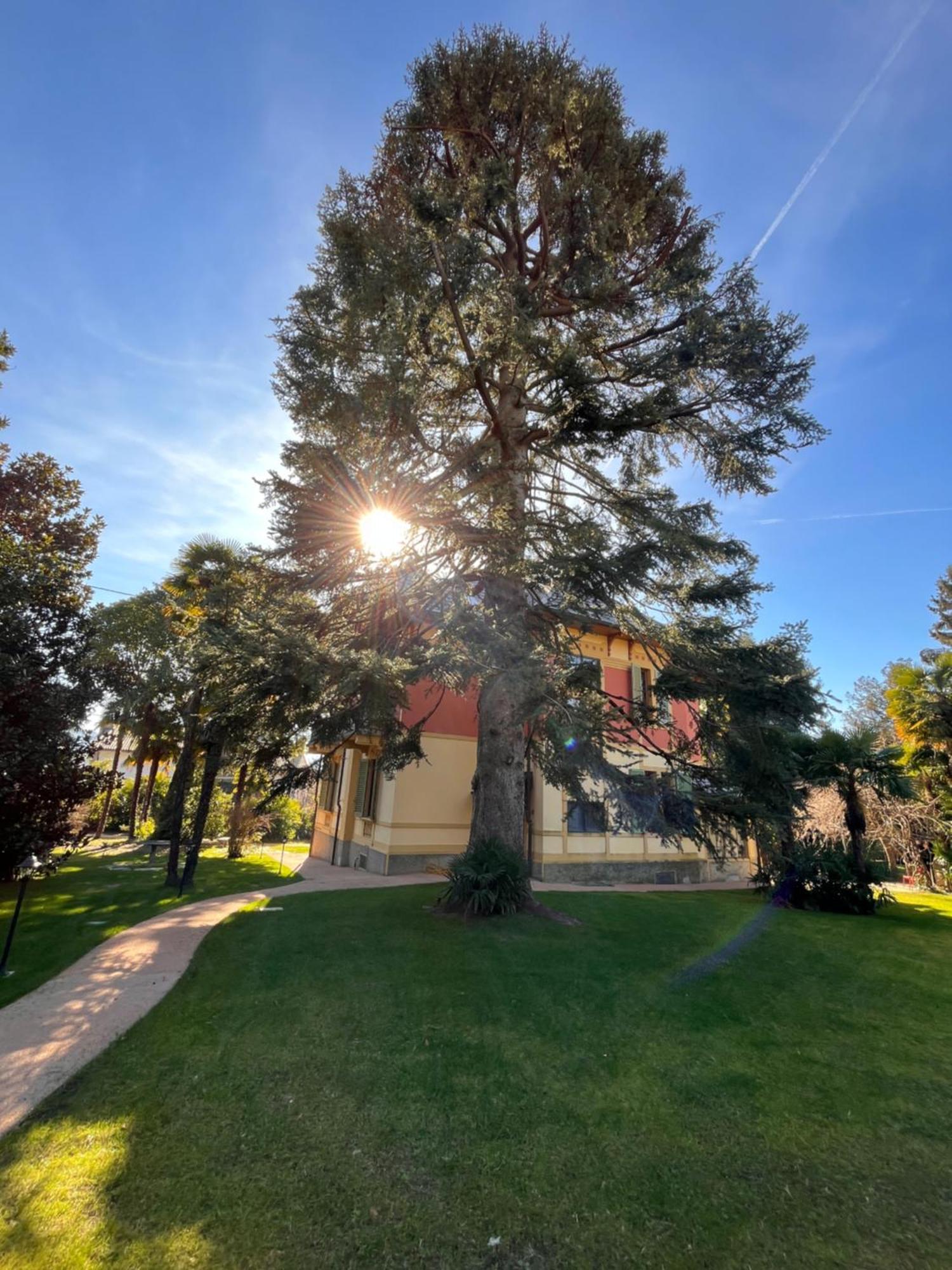 Villa Del Castanar Maccagno Eksteriør bilde